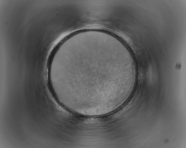 X0000101191414200807250952