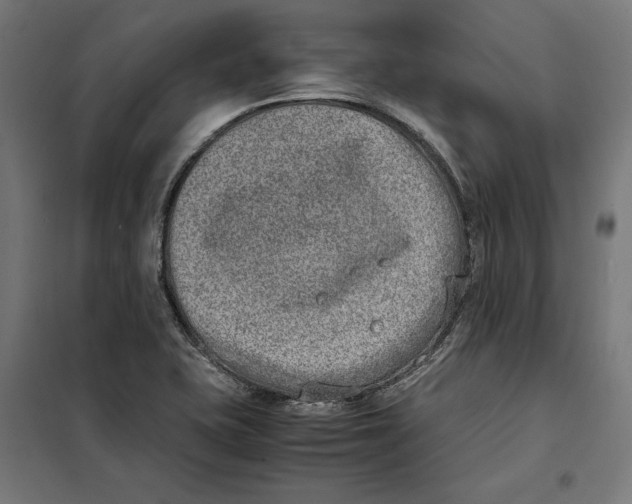 X0000101191415200807250952