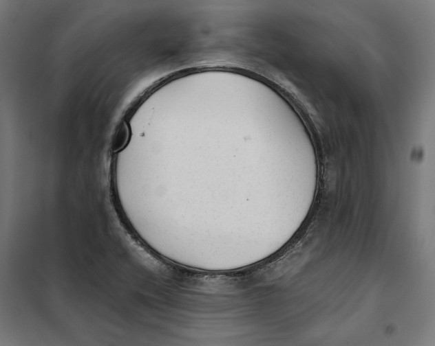 X0000101191416200807250952