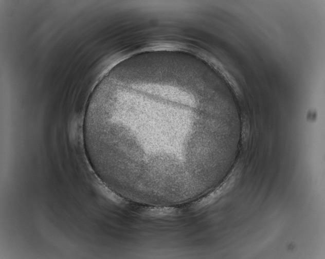 X0000101191417200807250952