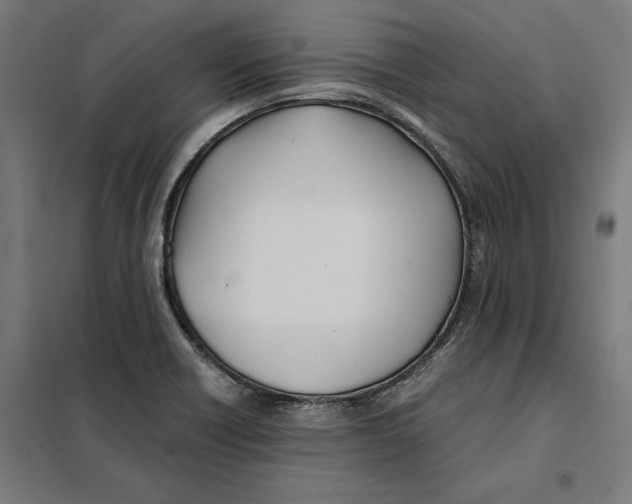 X0000101191418200807250952