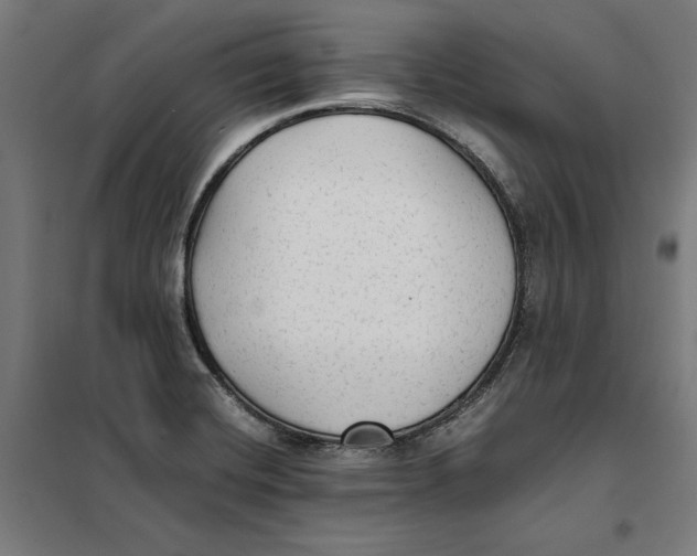 X0000101191420200807250952