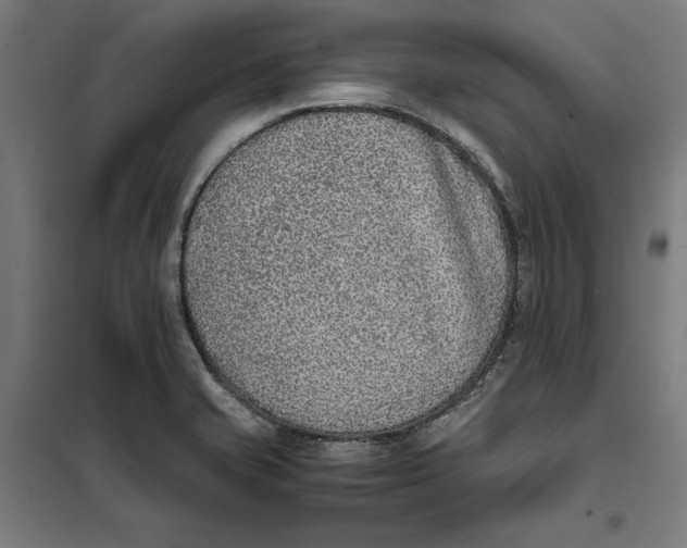 X0000101191421200807250952