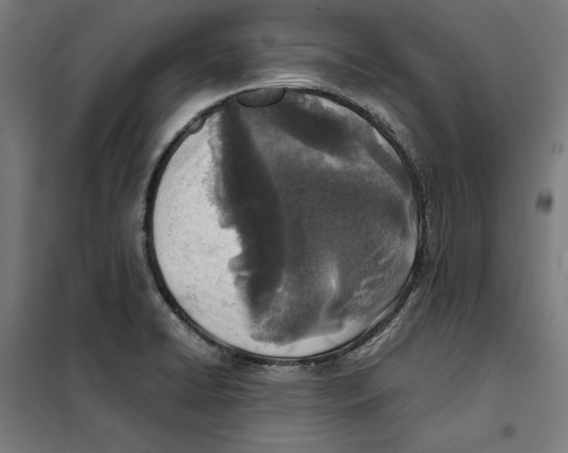 X0000101191422200807250952