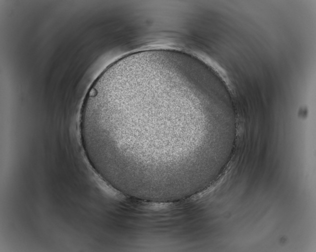 X0000101191423200807250952