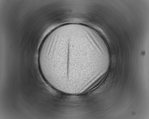 X0000101191424200807250952