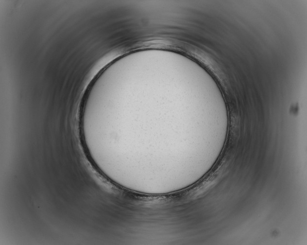 X0000101191426200807250952