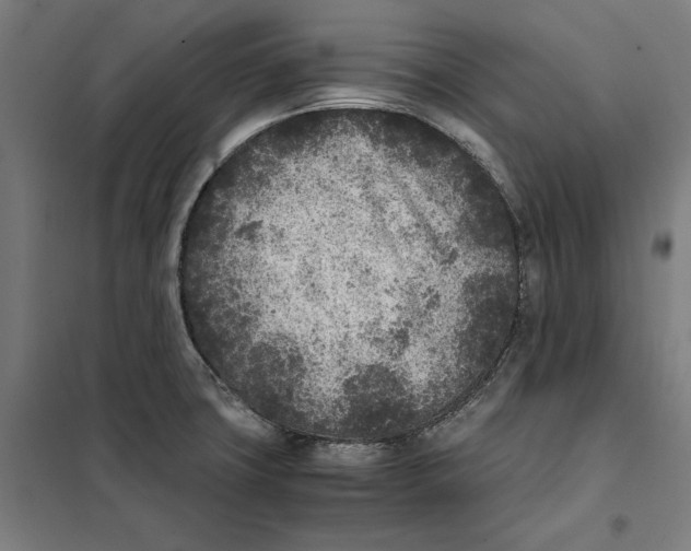 X0000101191427200807250952