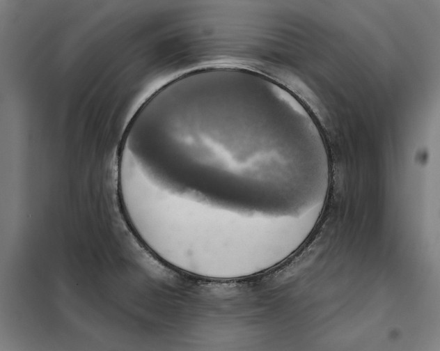 X0000101191428200807250952
