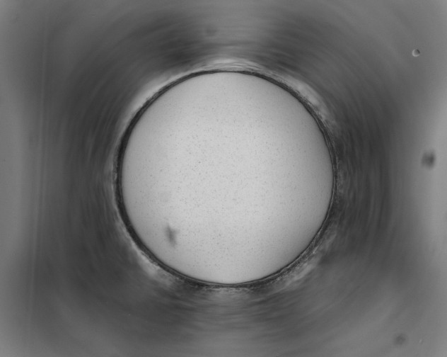 X0000101191430200807250952
