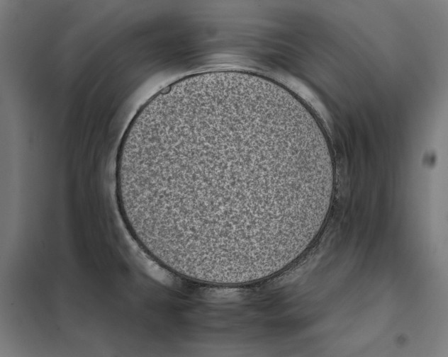 X0000101191431200807250952