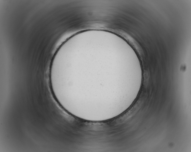 X0000101191432200807250952