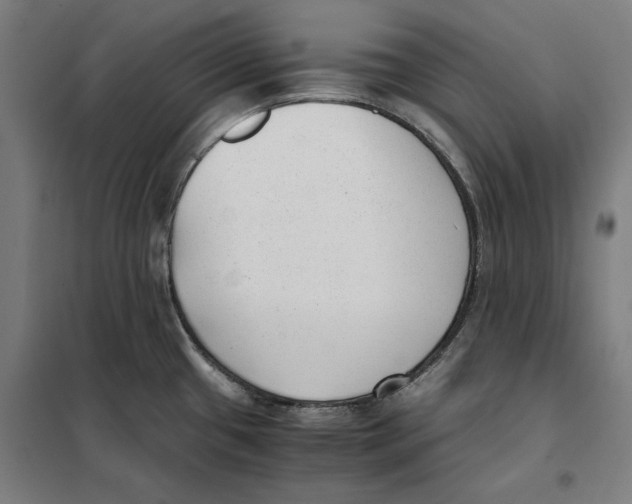 X0000101191433200807250952
