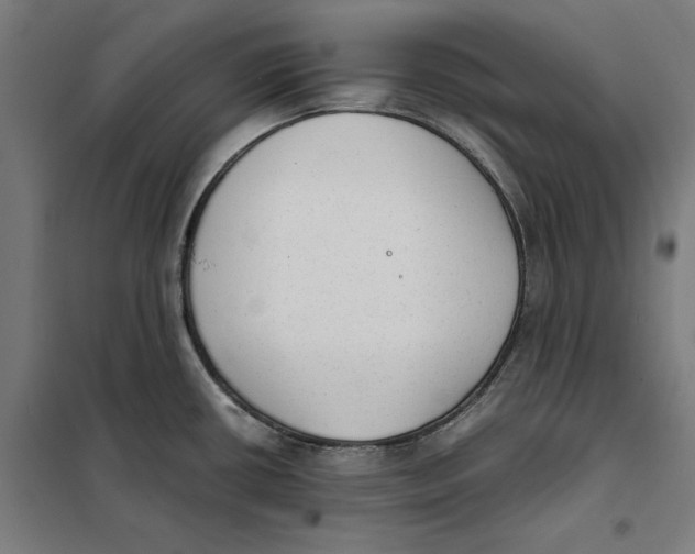 X0000101191434200807250952