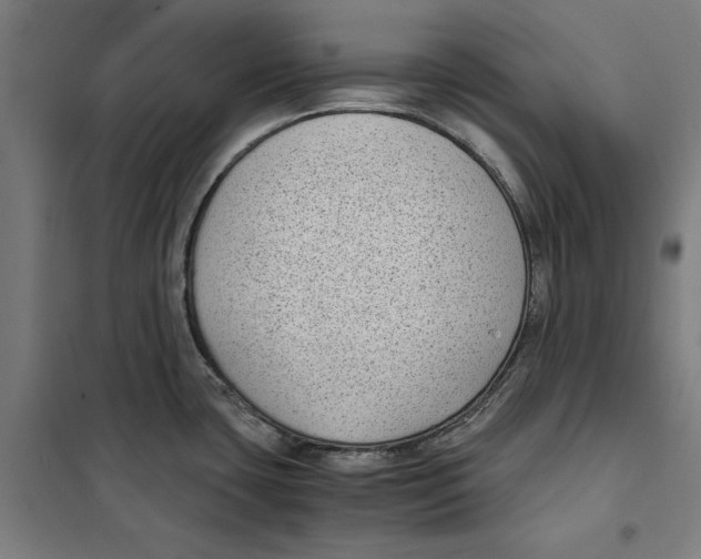 X0000101191435200807250952