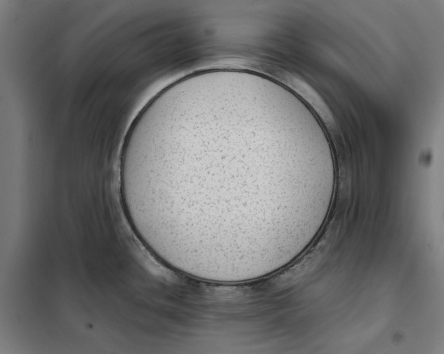 X0000101191436200807250952