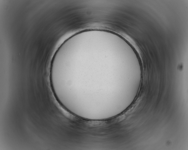 X0000101191437200807250952