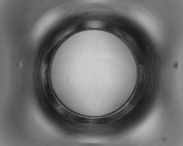 X0000101191438200807250952