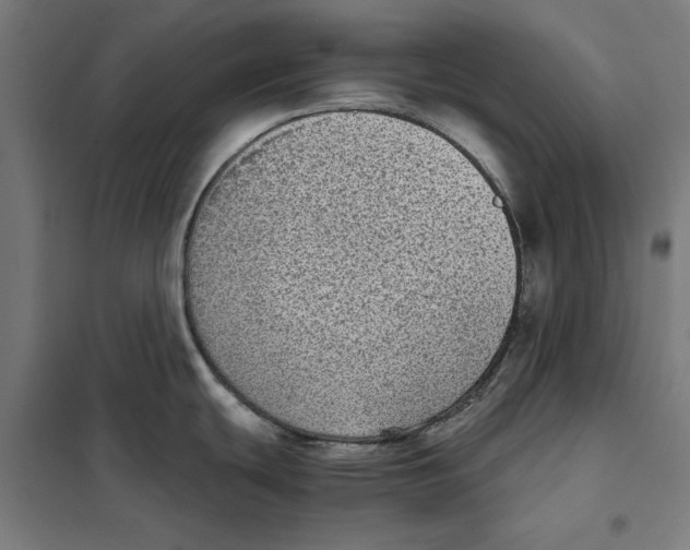 X0000101191439200807250952