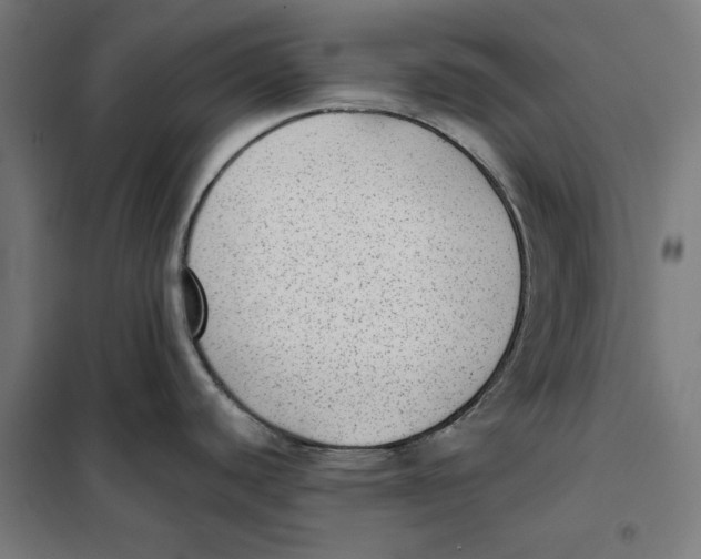 X0000101191440200807250952