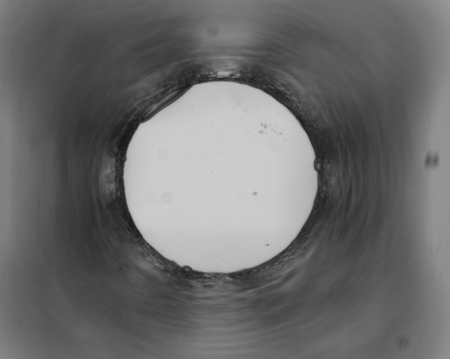 X0000101191442200807250952