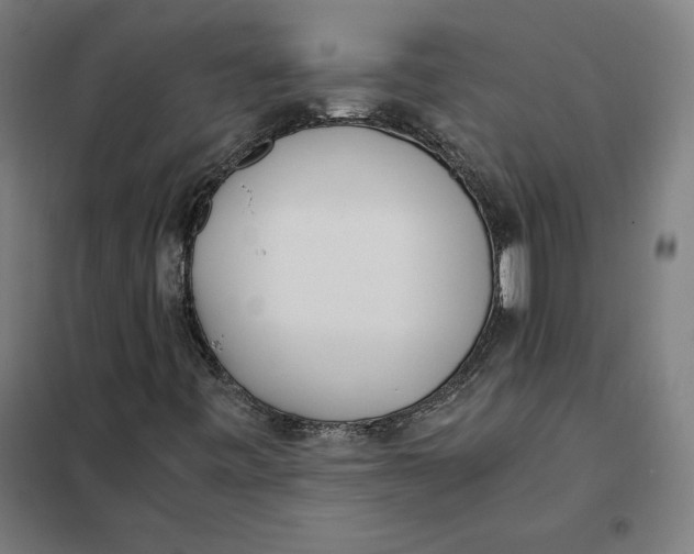 X0000101191443200807250952