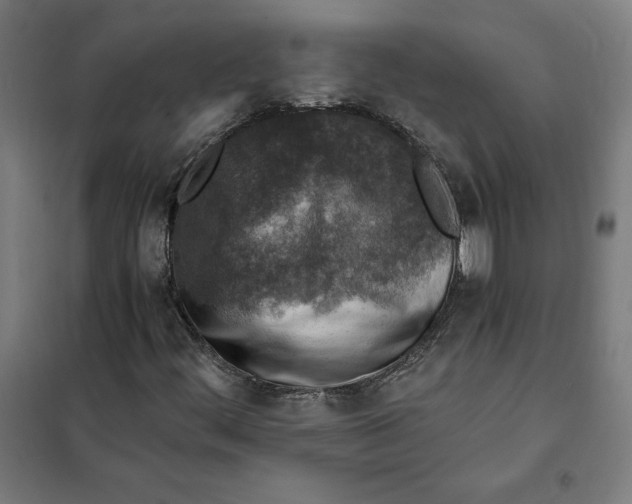 X0000101191444200807250952