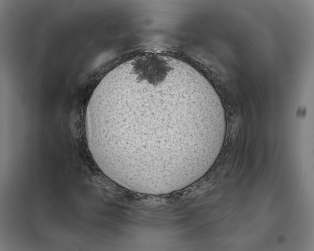 X0000101191446200807250951