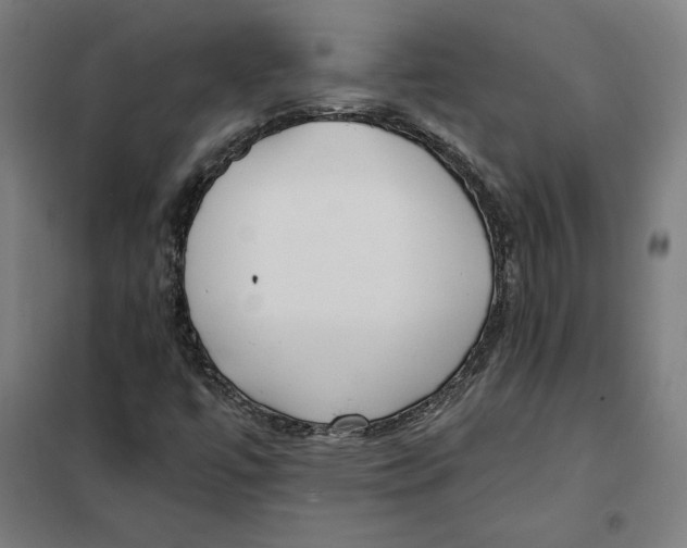 X0000101191447200807250951