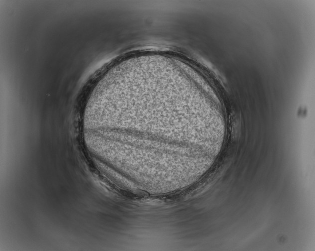 X0000101191448200807250951