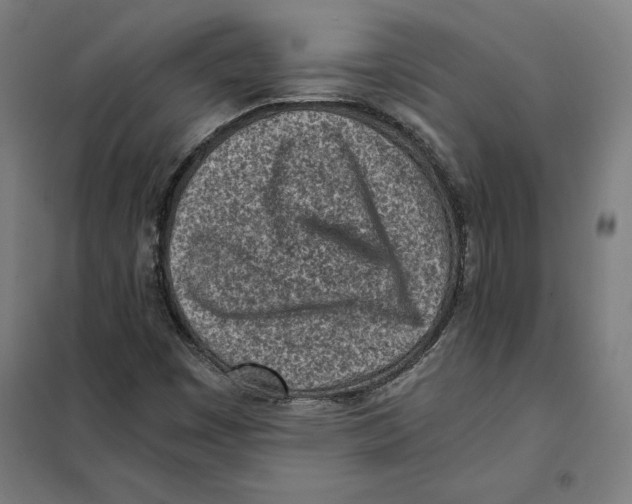 X0000101191449200807250951