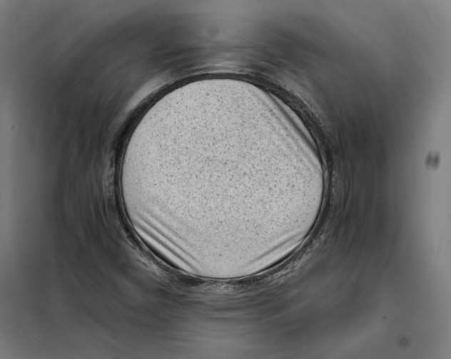X0000101191450200807250951