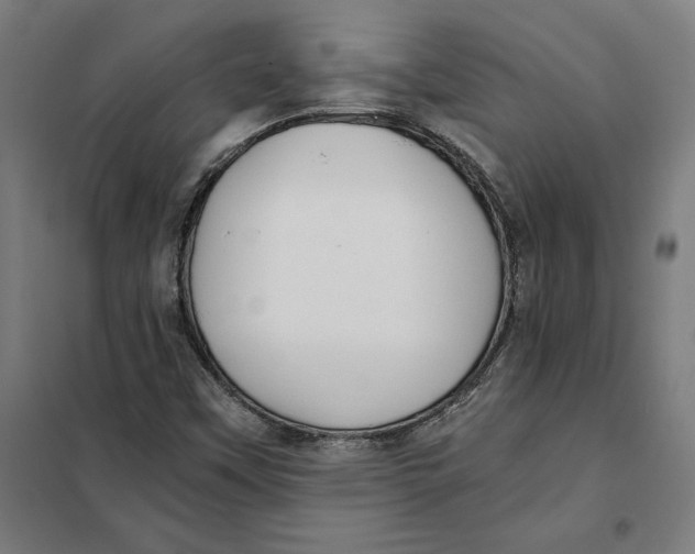 X0000101191451200807250951