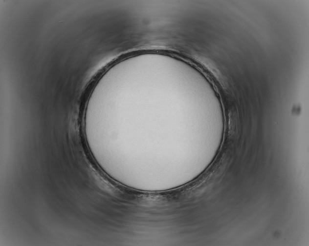 X0000101191452200807250951