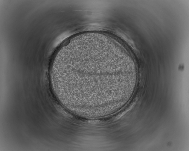 X0000101191453200807250951