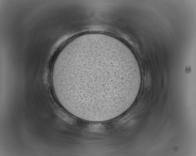 X0000101191454200807250951