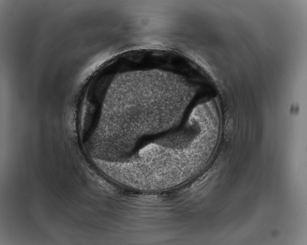 X0000101191455200807250951