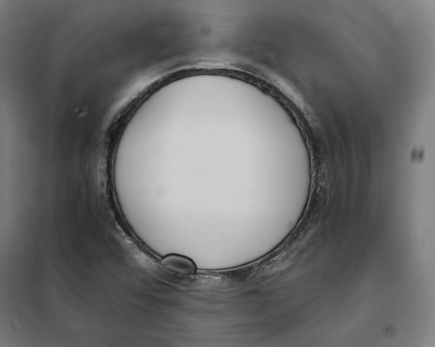 X0000101191456200807250951