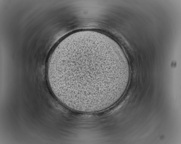 X0000101191457200807250951
