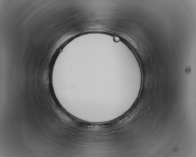 X0000101191458200807250951