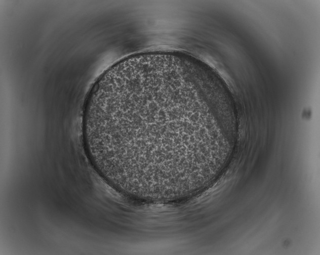 X0000101191459200807250951