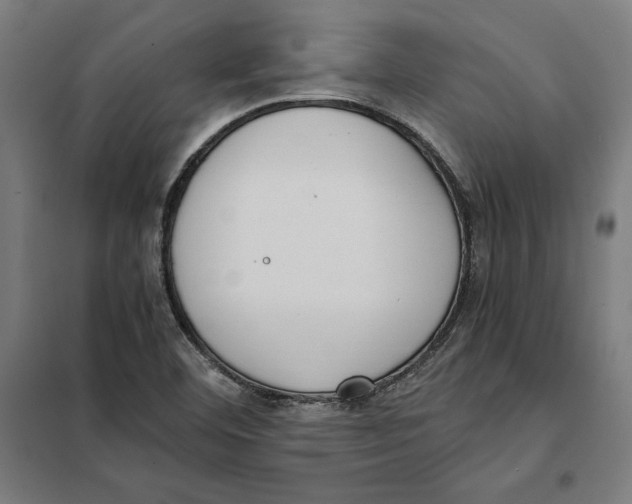 X0000101191460200807250951