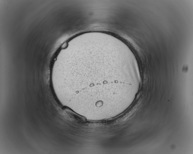 X0000101191461200807250951