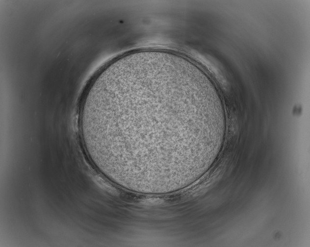 X0000101191462200807250951