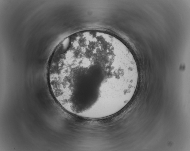 X0000101191463200807250951