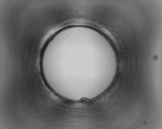 X0000101191464200807250951