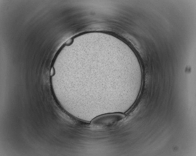 X0000101191465200807250951