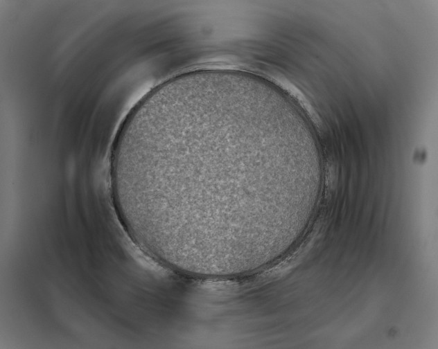 X0000101191466200807250951