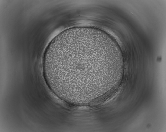 X0000101191467200807250951