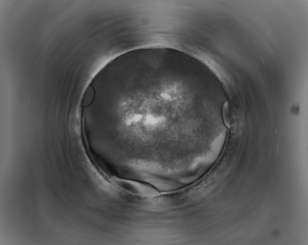 X0000101191468200807250951